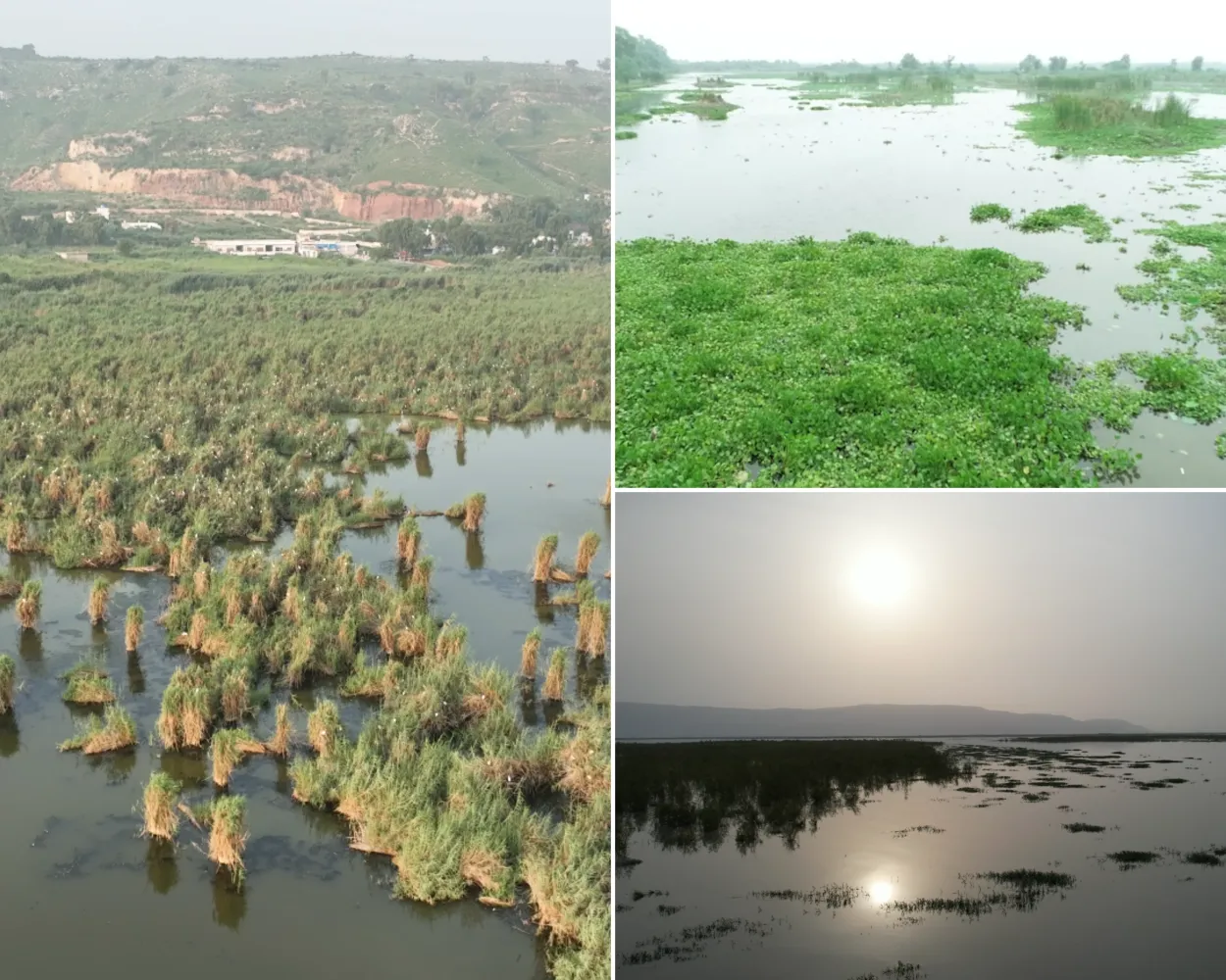 Types of Wetlands in Punjab