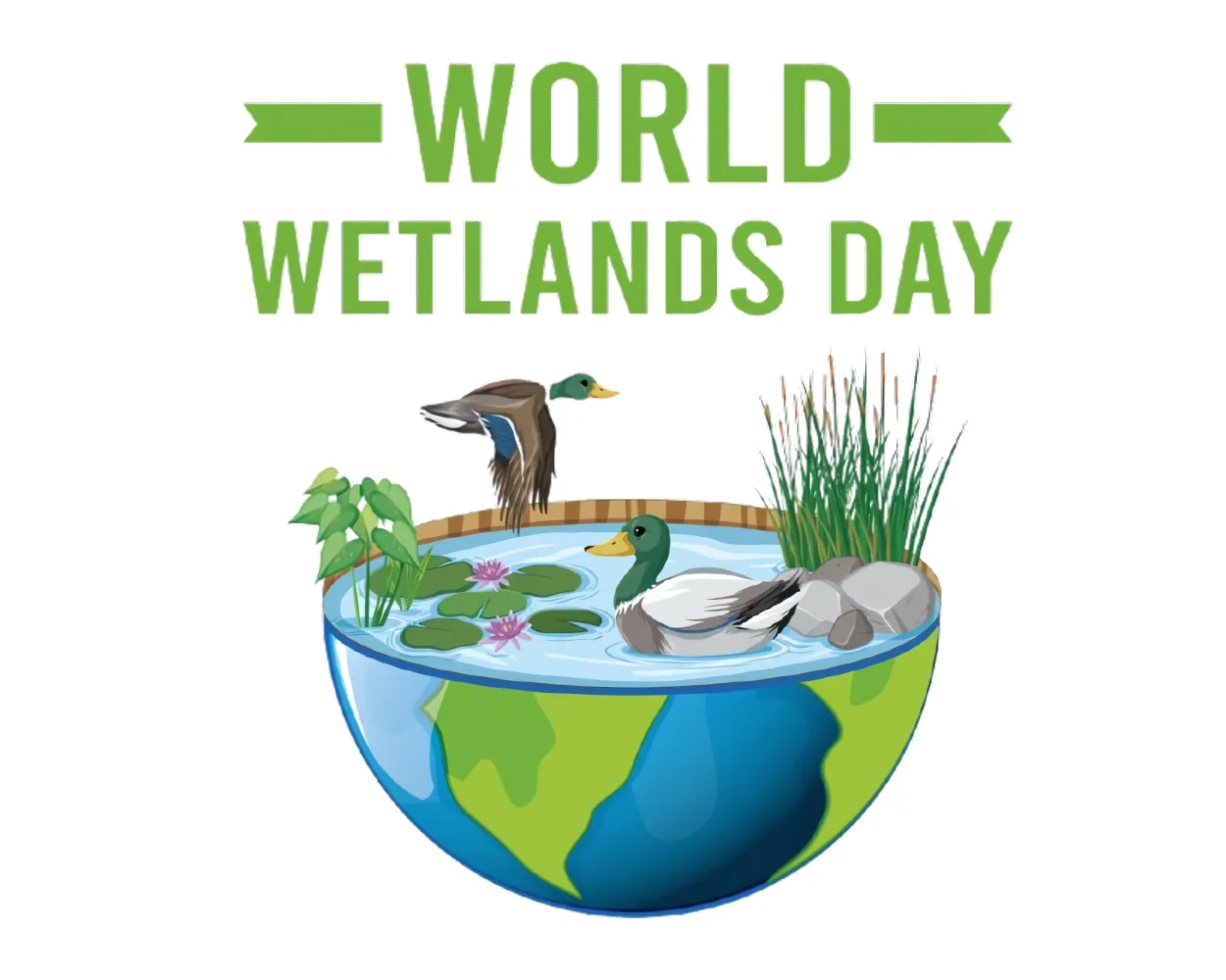 Challenges and Conservation Efforts