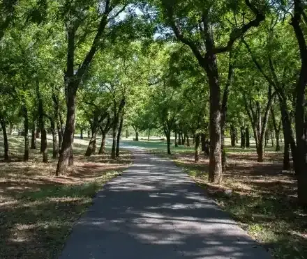 gallery image Parks