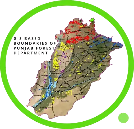 Blog detail image